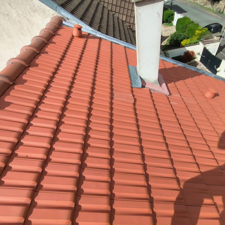 toit de tous les type Toit en tuiles, alternance de tuiles rouges et grises, vue en plongée.